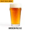 Craft A Brew - American Pale Ale - Beer Making Kit - Make Your Own Craft Beer - Complete Equipment and Supplies - Starter Home Brewing Kit - 1 Gallon view 2