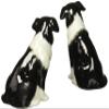 Cosmos Gifts Ceramic Border Collie Salt and Pepper Set, 2-1/2-Inch view 3