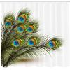 Ambesonne Peacock Shower Curtain, Male Bird Ferns Feathers Symbol a Mystical Creature of The Universe Inspired by Nature Illustration, Cloth Fabric Bathroom Set with Hooks, 69" W x 70" L, White Green view 2