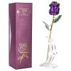 ZJchao Budding 24K Rose Gifts for Her, Love Dipped Gold Real Rose Flower Preserved Eternal for Wife, Mom, Grandma for Anniversary, Mothers' Day, Birthday, Home Decor view 1