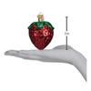 Old World Christmas Ornaments: Summer Strawberry Glass Blown Ornaments for Christmas Tree (28106) view 3