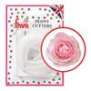 1 X Peony 4 Piece Cutter Set by FMM view 1