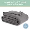 Twin Size Microfleece Fleece Blanket - Supersoft Lightweight Plush Throw for Bed, Couch, Travel & Pets - All-Season Comfort - Gray view 2