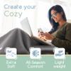 Twin Size Microfleece Fleece Blanket - Supersoft Lightweight Plush Throw for Bed, Couch, Travel & Pets - All-Season Comfort - Gray view 4
