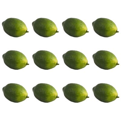 Nearly Natural Faux Limes (Set of 12)