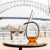 Riedel Veritas Pinot Noir Wine Glasses, Set of 2 view 2