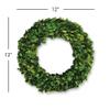 Napa Home & Garden Boxwood Wreath 12" 12" Green view 2