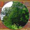 Super Cool Creations Circle Garden Mirror - 20cm / 7.9in view 2