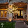 Lightshare Lighted Cherry Blossom Tree (8FT WarmWhite) view 2