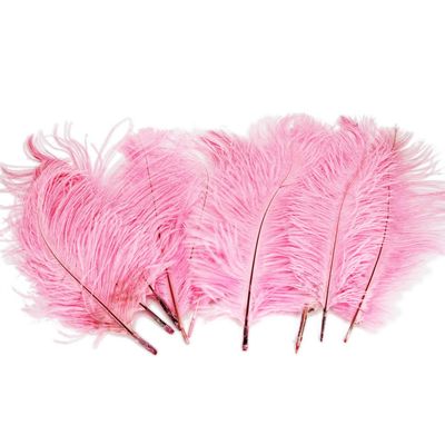 20 PCS Pink Quality Natural Ostrich Feathers 10-12inch/25-30cm Good Crafted DIY Ideas