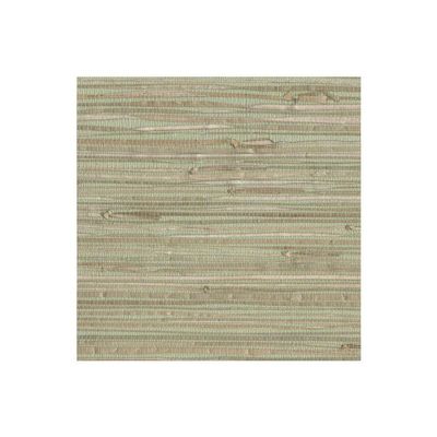 York Wallcoverings NZ0780 Sea Grass Grasscloth Wallpaper, Pale Green, Cream, Beige, Tan, Brown