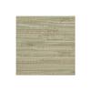 York Wallcoverings NZ0780 Sea Grass Grasscloth Wallpaper, Pale Green, Cream, Beige, Tan, Brown view 1