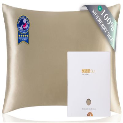 ZIMASILK 100% Pure Mulberry Silk Pillow Cases for Hair and Skin, Soft, Hypoallergenic & Smooth, Both Sides Grade 6A Silk, with Hidden Zipper, Gift for Women Men, 1pc (Queen 20''x30'', Taupe)