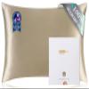 ZIMASILK 100% Pure Mulberry Silk Pillow Cases for Hair and Skin, Soft, Hypoallergenic & Smooth, Both Sides Grade 6A Silk, with Hidden Zipper, Gift for Women Men, 1pc (Queen 20''x30'', Taupe) view 1