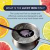 The Original Lucky Iron Fish . An Iron Supplement Alternative to Reduce Deficiency. NO SIDE EFFECTS. Use once daily - 5 year supply included. view 2