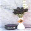 The Original Wooden Rose Halloween All Black Gothic Flower Bouquet Closed Bud (1 Dozen) view 2