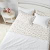 Laura Ashley - Flannel Sheets Full Size, Anti-Pilling & Wrinkle Resistant Cotton, Touchably Soft for All-Season Comfort - Bed Sheets with Matching Pillowcases & Fitted Sheet (Audrey Pink) view 3