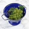 Calypso Basics by Reston Lloyd Powder Coated Enameled Colander, 1 Quart, Indigo view 3