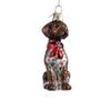 Kurt S. Adler Noble Gems? German Shorthaired Pointer Glass Ornament, Christmas view 1