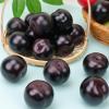 Gresorth 8pcs Artificial Realistic Brin Plum Fake Fruit Home Party Decoration Photography Props Model Simulation Lifelike Black Ornament view 3