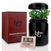 Herb Guard - Half Oz Airtight Jar and Smell Proof Containers (250 ml) Comes with Humidity Pack to Keep Goods Fresh for Months view 1