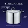CONCORD Stainless Steel Stock Pot with Glass Lid (Induction Compatible) ((2.5 QT) view 2