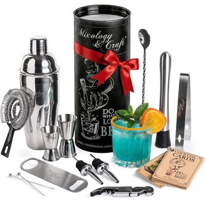 Mixology & Craft 16-Piece Stainless Steel Cocktail Shaker Set, 24 oz Cobbler Martini Shaker, Mixology Bartender Kit with Strainer, Travel Cocktail Kit in Gift-Ready Tube, Bartending Bar Kit Tools