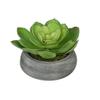 Artificial Echeveria in Washed Bowl Ceramic (Green in Grey-Washed) view 1