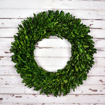 Preserved Boxwood Garden Wreath - 22 Inch