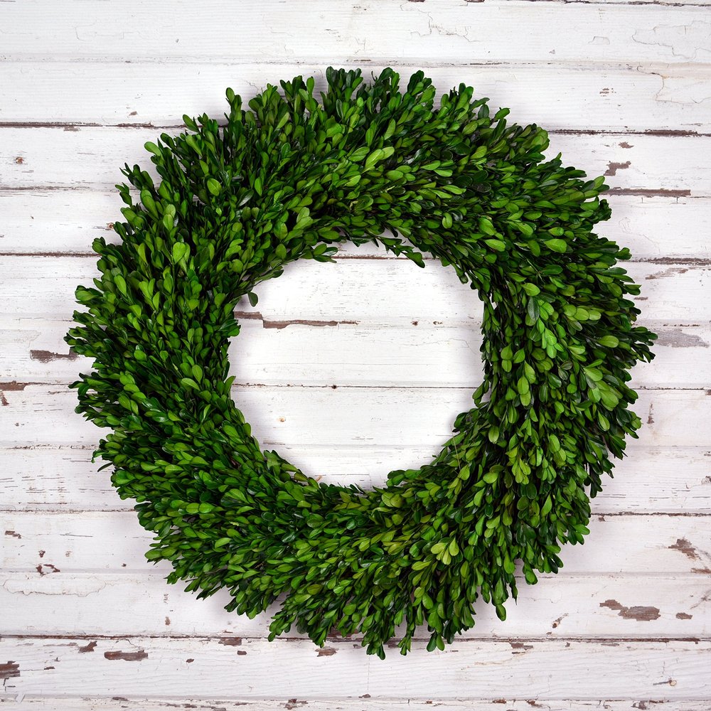 Preserved Boxwood Garden Wreath - 22 Inch