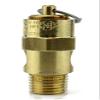 New 1/4" ASME Brass Safety relief Valve 100 PSI American made Compressed air pop off valve view 3