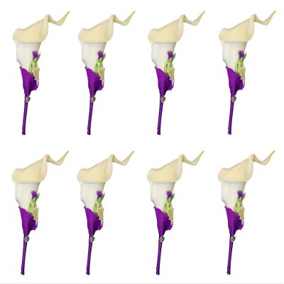 Angel Isabella Set of 8:Real Touch Quality Calla Lily Boutonniere-Purple,Natural White.(Artificial Flower)