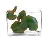 WGV Long Rectangle Block Vase, Width 3", Length 10", Height 7", Clear Glass Floral Container Wedding Party Event Home Office Decor, 1 Piece view 3
