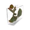 WGV Long Rectangle Block Vase, Width 3", Length 10", Height 7", Clear Glass Floral Container Wedding Party Event Home Office Decor, 1 Piece view 4