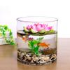 WGV Cylinder Vase, Width 8", Height 8", Clear Wide Large Diameter Flower Glassware, Floral Container, Planter Terrarium for Wedding Party Event, Home Accent Decor, 1 Piece view 4
