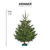 Krinner Christmas Tree Genie Medium - Green Tree Stand - Original Single Cable Operation, Holds up to 7 ft Live Trees - Foot Pedal Setup & Water Reservoir with Level Indicator - German Made view 2