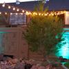 Globe Light Strand Black 100ft - Wedding Lights G40 Globe Lights view 3