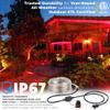 WYZworks 576LEDs 50ft LED Outside Rope Lights, Outdoor ETL Certified Waterproof Permanent 360 Degree Light Emitting, Flexible Tube, Connectable, Christmas Palm Tree Exterior Landscape, Red view 2