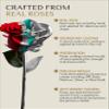 Forever Rose Real Rose Dipped in Platinum, Handcrafted Preserved Rose in Luxury Gold Gift Box, Romantic Gift for Her, Elegant Keepsake for Anniversary, Valentine's Day or Birthday. view 2