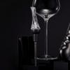 Vintorio Wine Aerator Pourer - Premium Aerating Pourer and Decanter Spout (Black) view 3