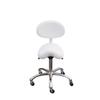 Lolli Esthetician Receptionist Therapist Saddle Stool with Backrest and Metal Base - USA-1025 (White) view 4