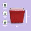 Chef'n Bramble Berry Basket and Colander (1-Quart, Cherry) view 2