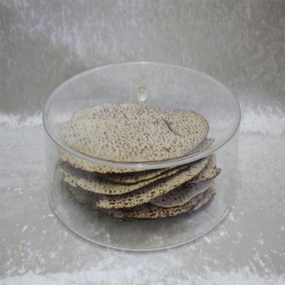 Majestic Giftware Passover Seder Round Lucite Matzah Box (LMB100) - 14 Inch Matzah Holder - Premium Acrylic Passover Matzo Cover for Holiday Celebrations - Spacious, and Easy to Clean