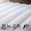 W Hotels Featherbed - Mattress Cover - Hotel Luxurious, Soft Duck Featherbed - Queen (60" x 80") view 3