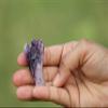 Jet Amethyst Angel Healing Crystal Gaurdian Figure Pocket Healing Focus Concetraction Spiritual 2 inch Angel Powerful and Protective Spiritual Awareness. view 3