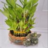 jmbamboo-Three Tiered Lucky Bamboo Arrangement Elephant Vase Favor view 1