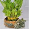 jmbamboo-Three Tiered Lucky Bamboo Arrangement Elephant Vase Favor view 3
