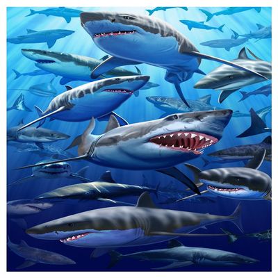 Giant Great White Shark Beach & Bath Towel (40" x 70")