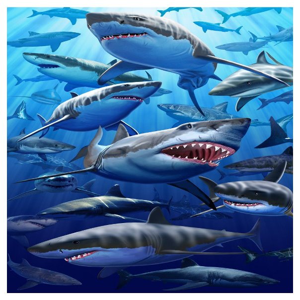 Giant Great White Shark Beach & Bath Towel (40" x 70")
