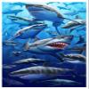 Giant Great White Shark Beach & Bath Towel (40" x 70") view 1